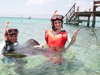 Incontri con le mante 